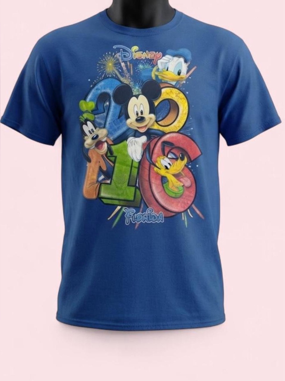 Disney Blue Mickey & Friends 2016 Florida Graphic Tee